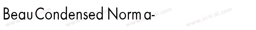 Beau Condensed Norma字体转换